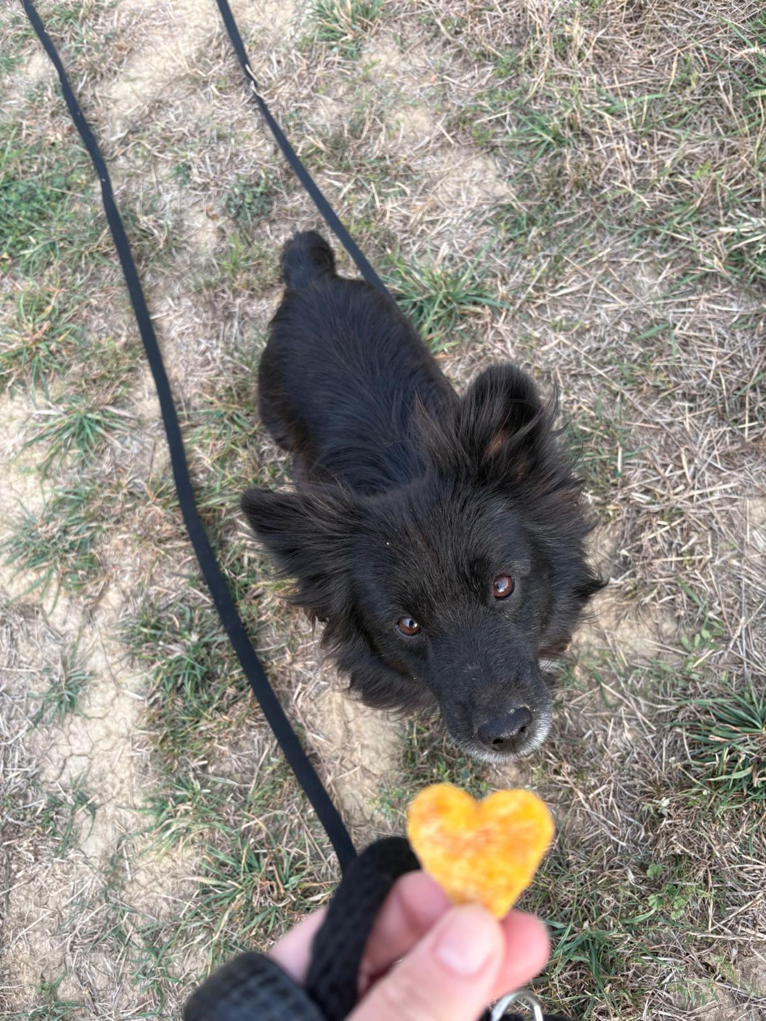 Fotka galérie