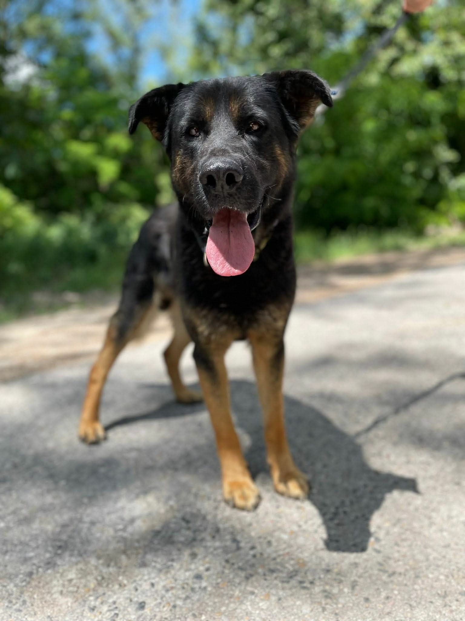 Jupiter 💙