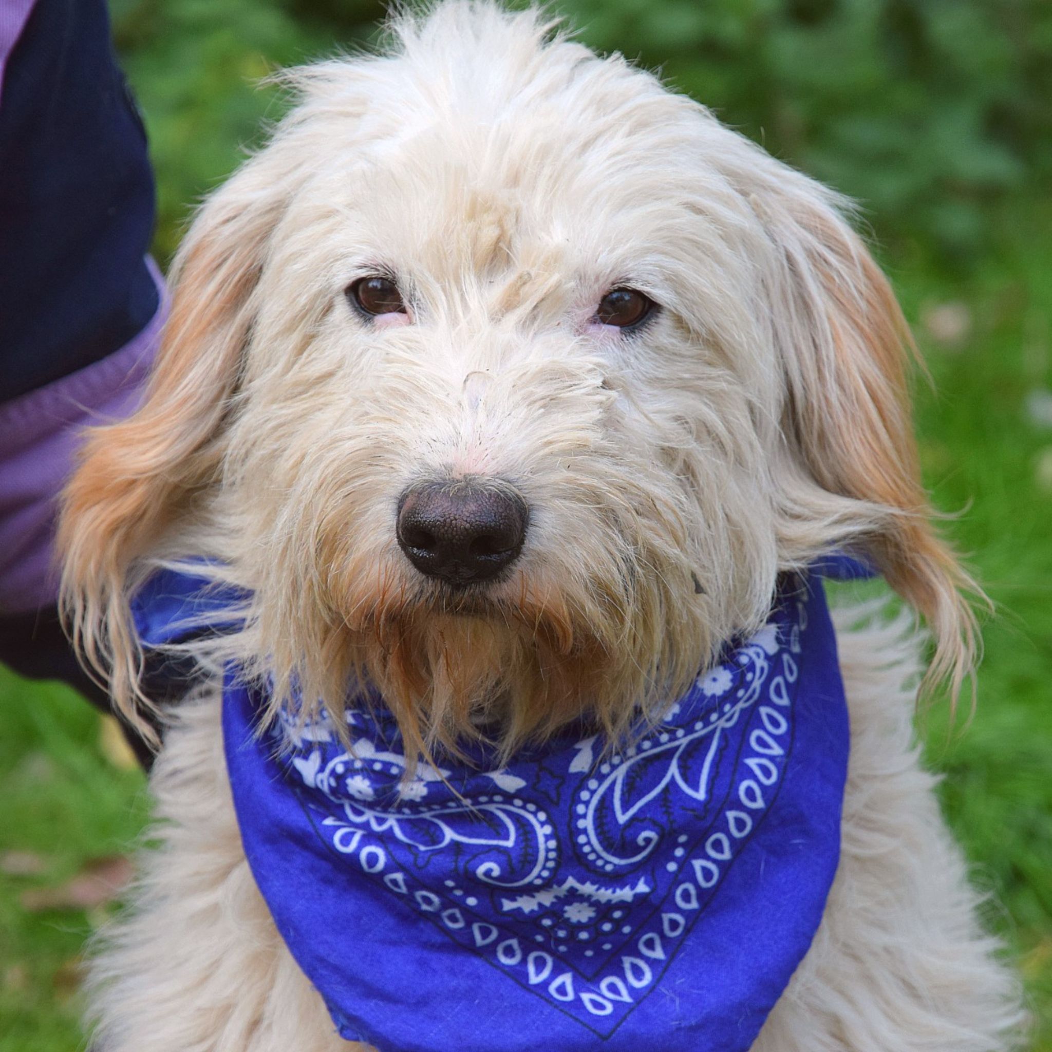 🐾 HELIOS – slniečko, ktoré rozžiari každý deň