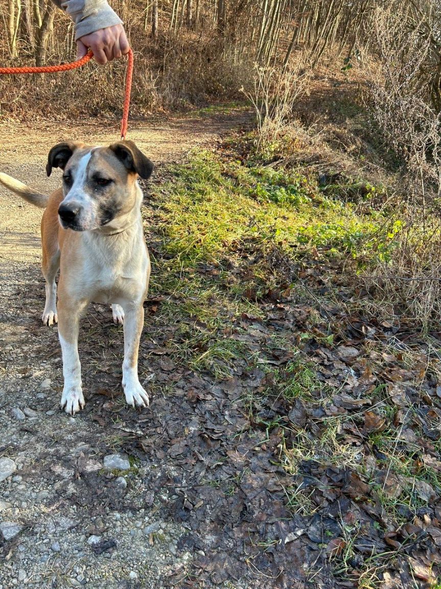 Ralf