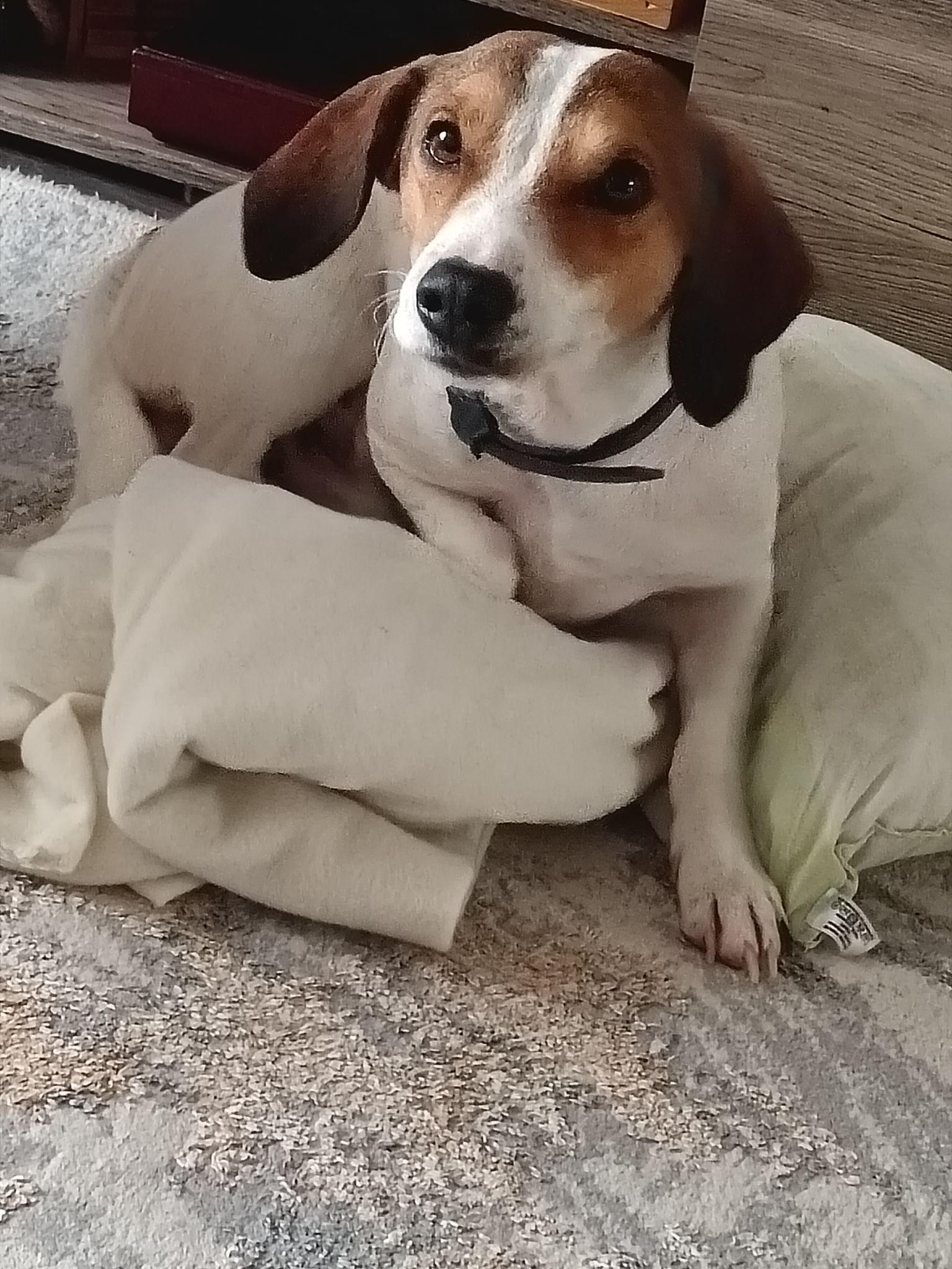 Charly