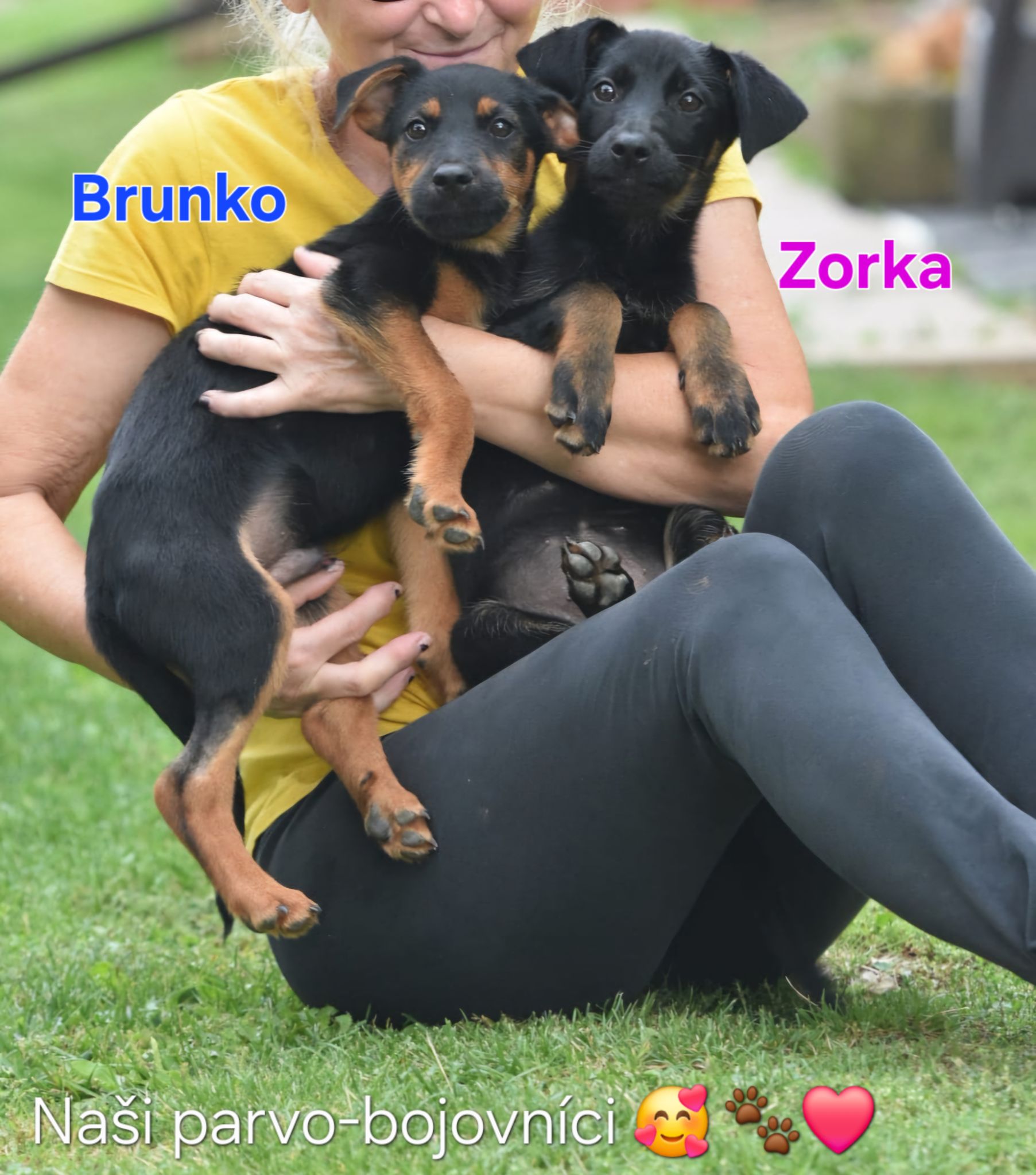 Fotka galérie