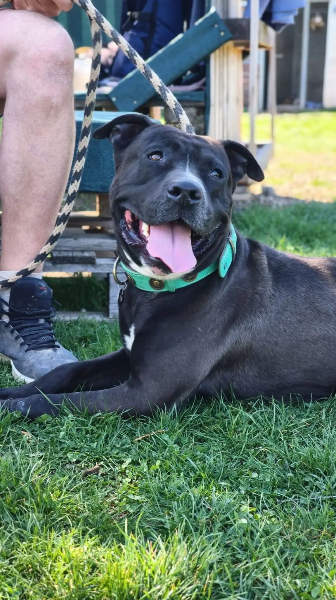 Max