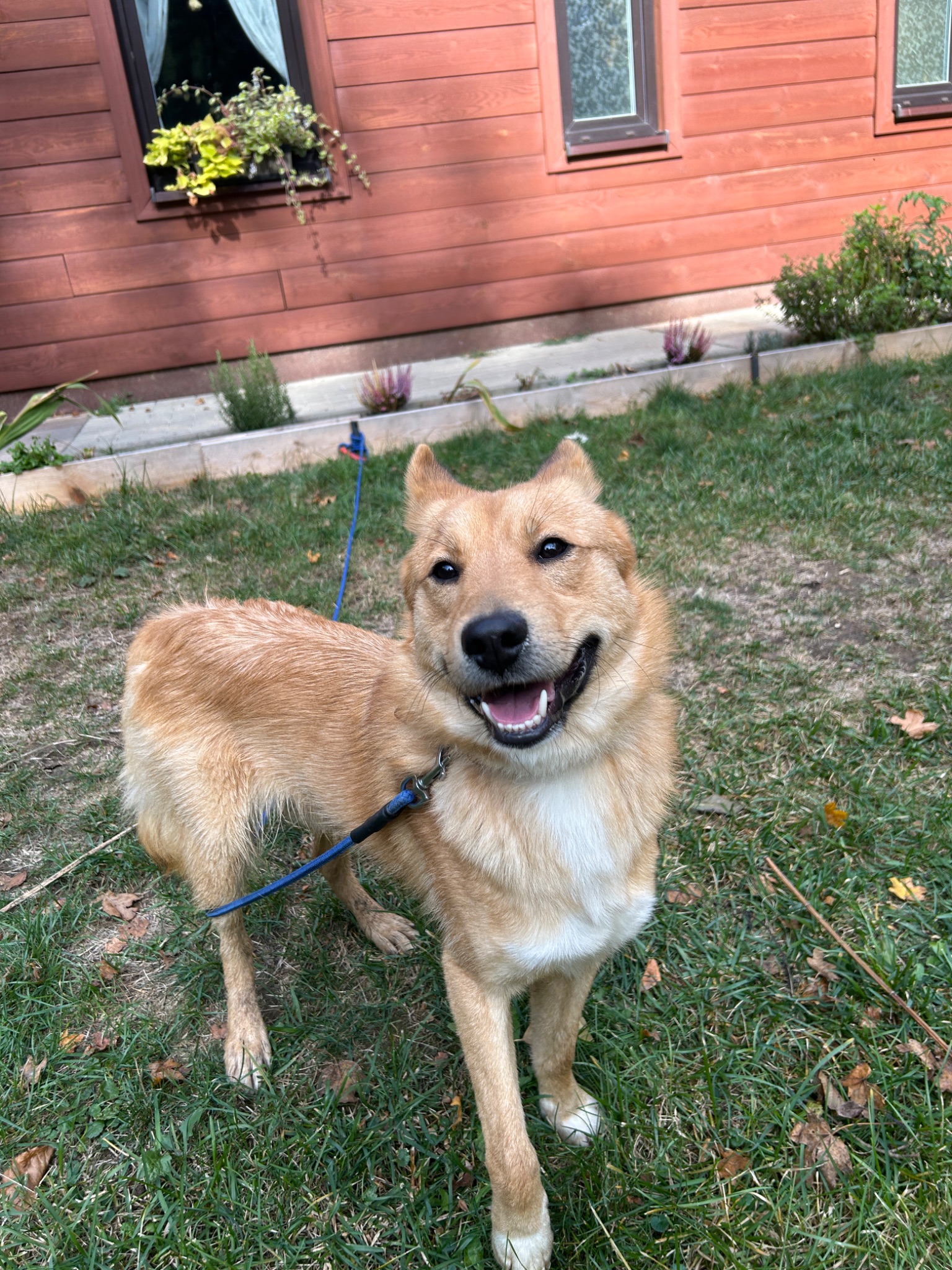 ZAK