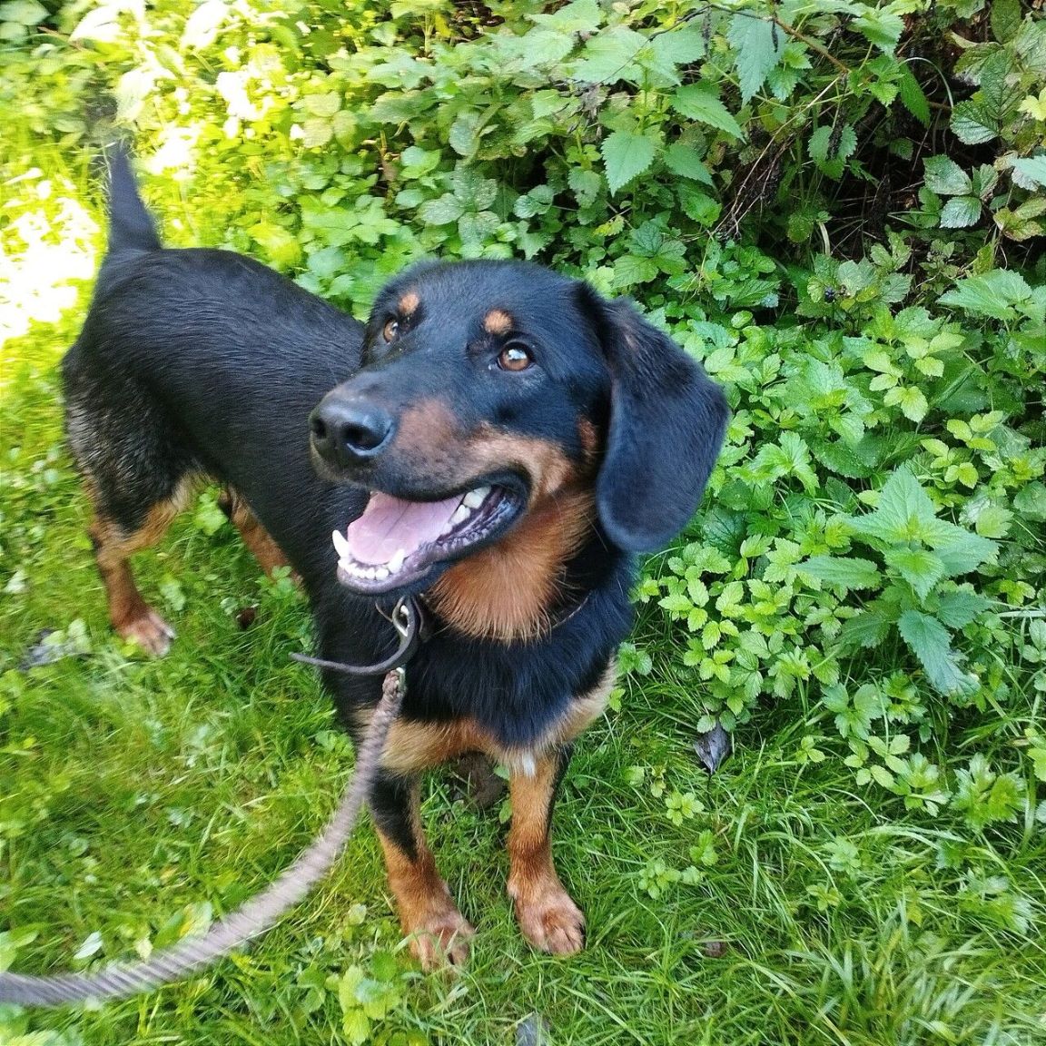 Lenny