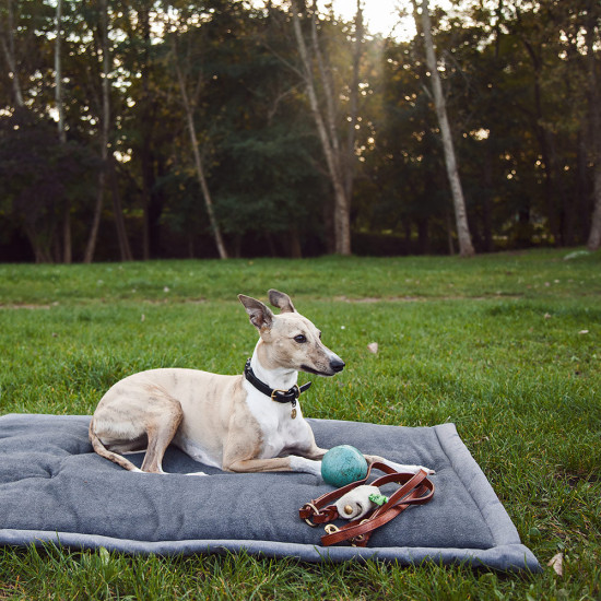 Doggy Do Bag - Felt Zlatá cvočka