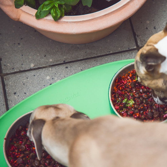 Beco Pets Dinner Time Placemat Zelená