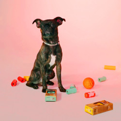 Explorer Dog – Kompostovateľné sáčky na hovienka 60 ks 60 ks