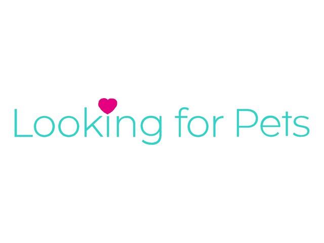 Looking for pets
